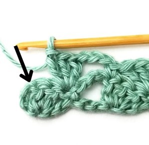 The Braided Shell Crochet Stitch Photo Tutorial