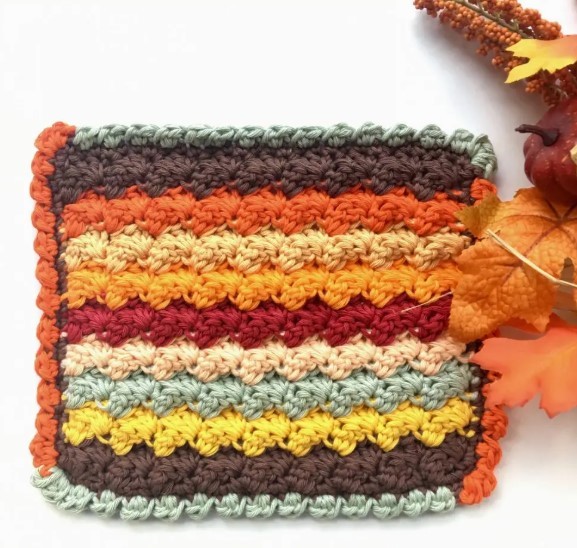 Bobble Shell Stitch Crochet Border Photo Tutorial
