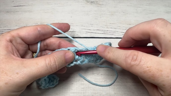 How to Crochet the Double Cluster V Stitch Photo Tutorial