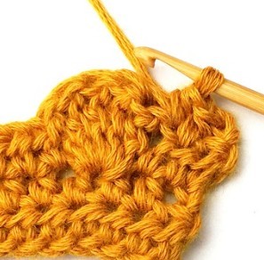 Chestnut Crochet Stitch Photo Tutorial