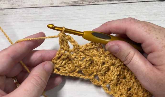 How to Crochet the Flying Shell Stitch Photo Tutorial