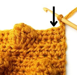 Chestnut Crochet Stitch Photo Tutorial