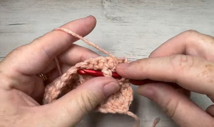 How to Crochet the 3D Twisted Granny Stitch Photo Tutorial