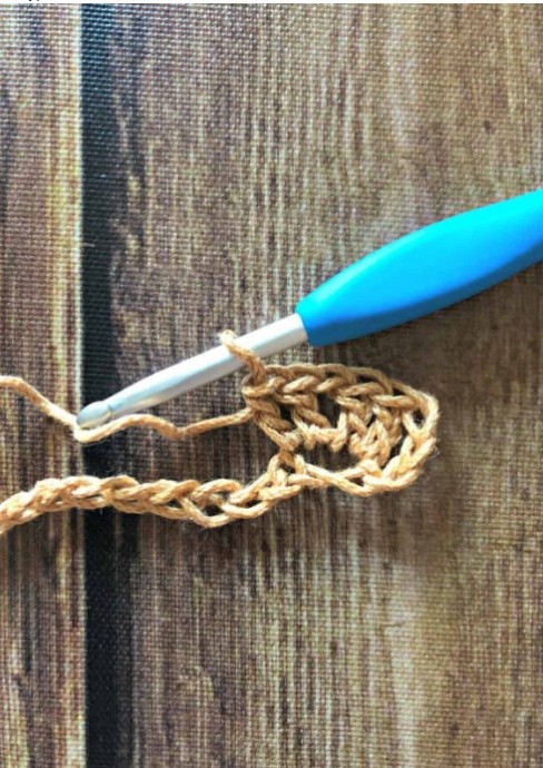 How to Crochet the Iris Stitch Photo Tutorial