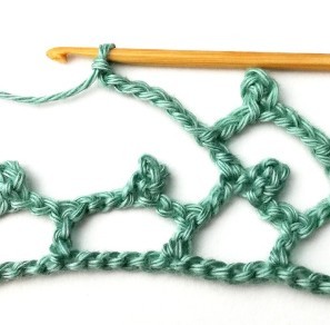 Wild Net Crochet Stitch Photo Tutorial