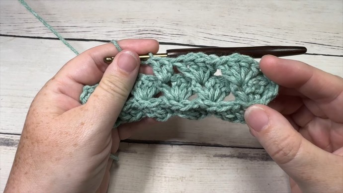 How to Crochet the 3D Twisted Shell Stitch Photo Tutorial