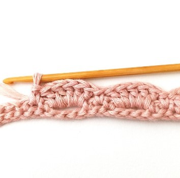 The Hexagonal Shell Crochet Stitch Photo Tutorial