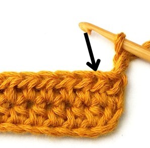 Chestnut Crochet Stitch Photo Tutorial