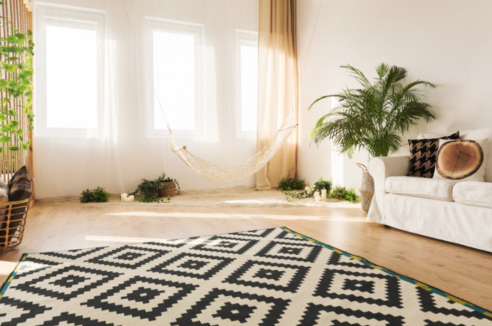 Tips & Hacks for Clean Carpets