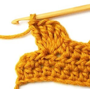 Chestnut Crochet Stitch Photo Tutorial